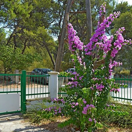 Apartment And Rooms Katica Biograd Na Moru Exterior photo